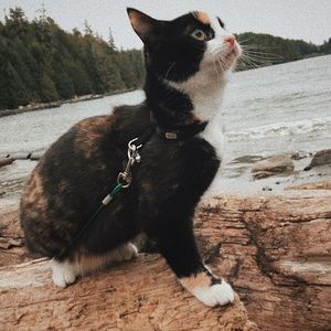 Meet your Posher, Charles